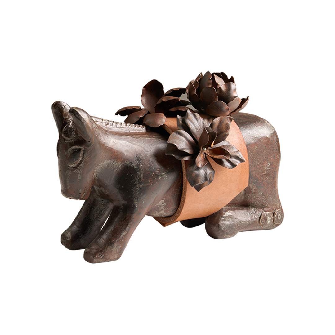 Mini Burro d'Flores Jan Barboglio