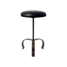 Sonora Bar Stool Jan Barboglio