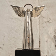 Angel D'Paz Jan Barboglio