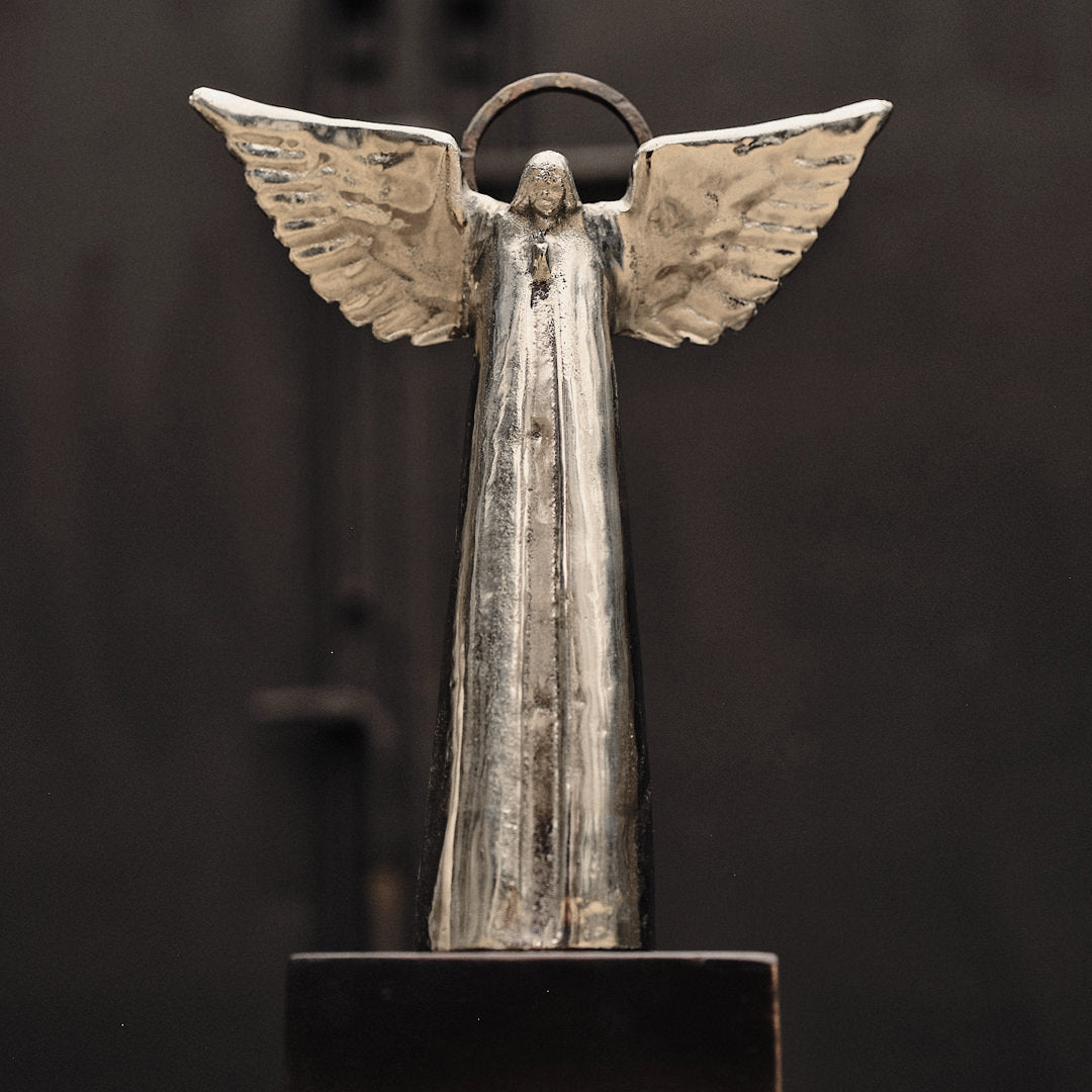 Angel D'Paz Jan Barboglio