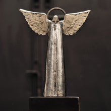 Angel D'Paz Jan Barboglio