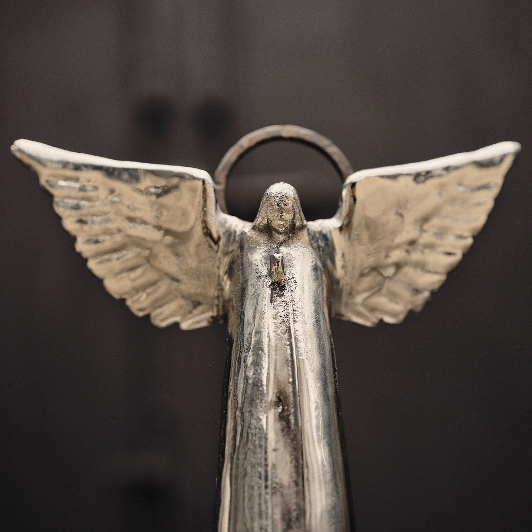 Angel D'Paz Jan Barboglio