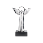 Angel D'Paz Jan Barboglio