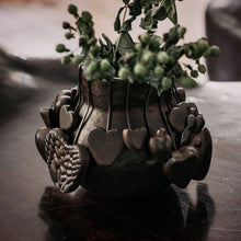 Frijolero con Corazon