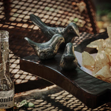 Familia d'Seis Pajaros