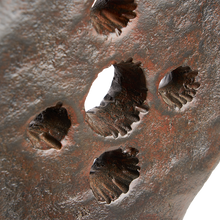 Primitivo