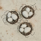 Nidito Jan Barboglio