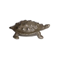 Tortuga