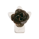 Rosa Angel Jan Barboglio