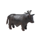 El Toro Angus con Paloma Jan Barboglio