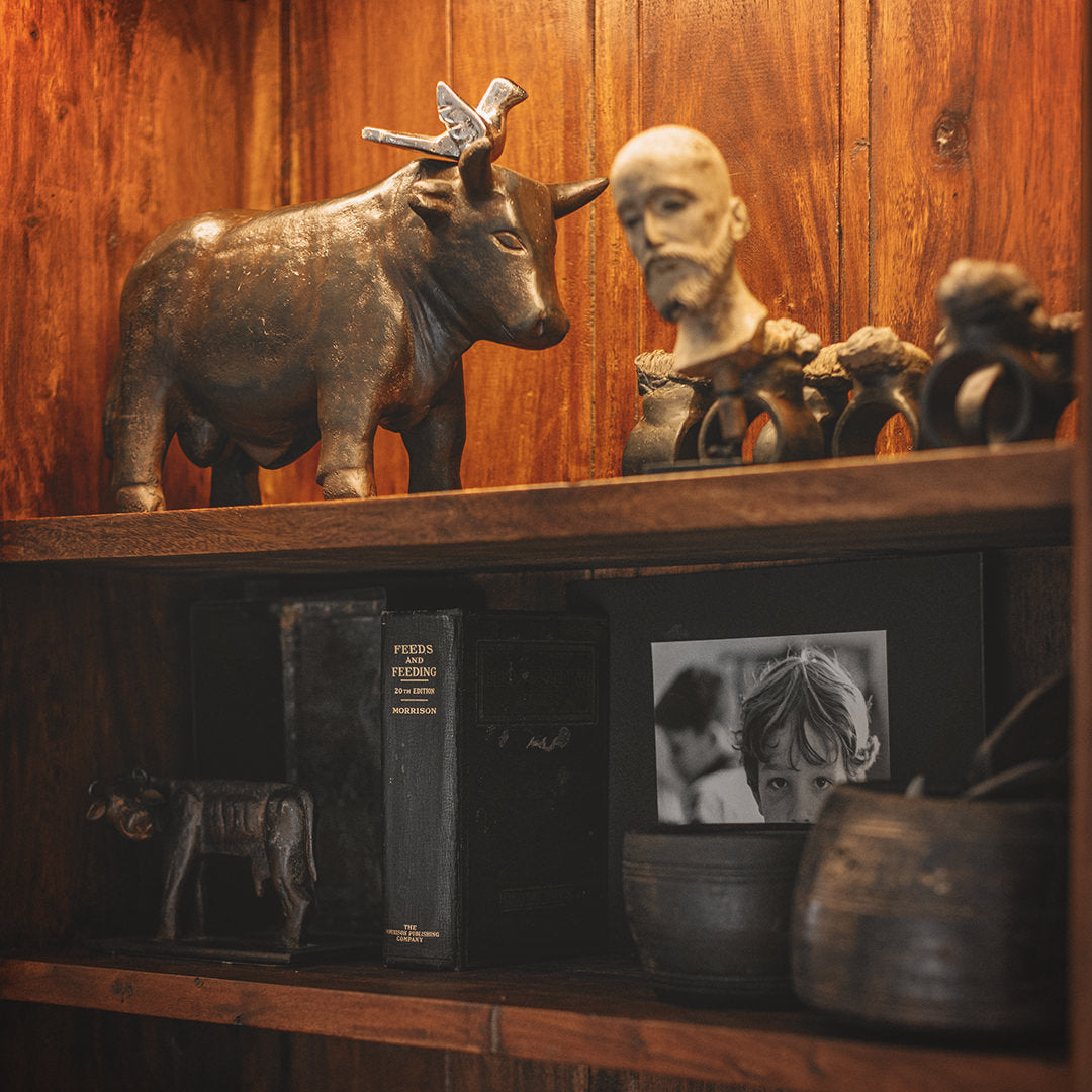 A  wood shelf with a iron bull with a nickel plated dove on top of its head, a man's head, a picture frame and some books.