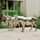Burro Jan Barboglio