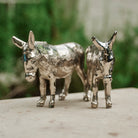 Burro Jan Barboglio