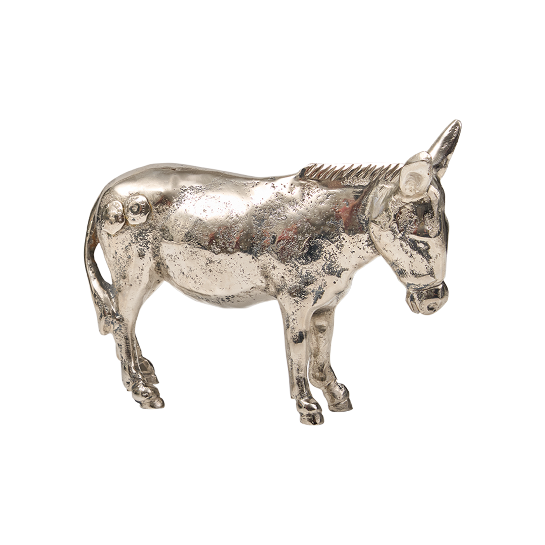 Burro Jan Barboglio