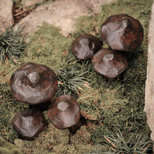 Hongos Jan Barboglio