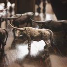 A  nickel plated longhorn bull  iron sculpture in front of other iron longhorn sculptures. Wood floor.