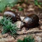Armadillo Jan Barboglio