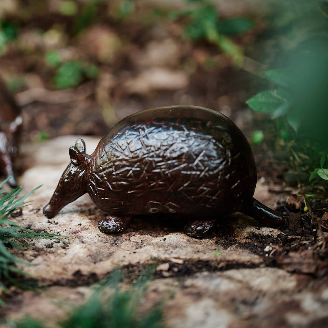 Armadillo Jan Barboglio