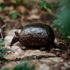 Armadillo Jan Barboglio