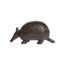 Armadillo