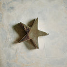 Estrella Jan Barboglio
