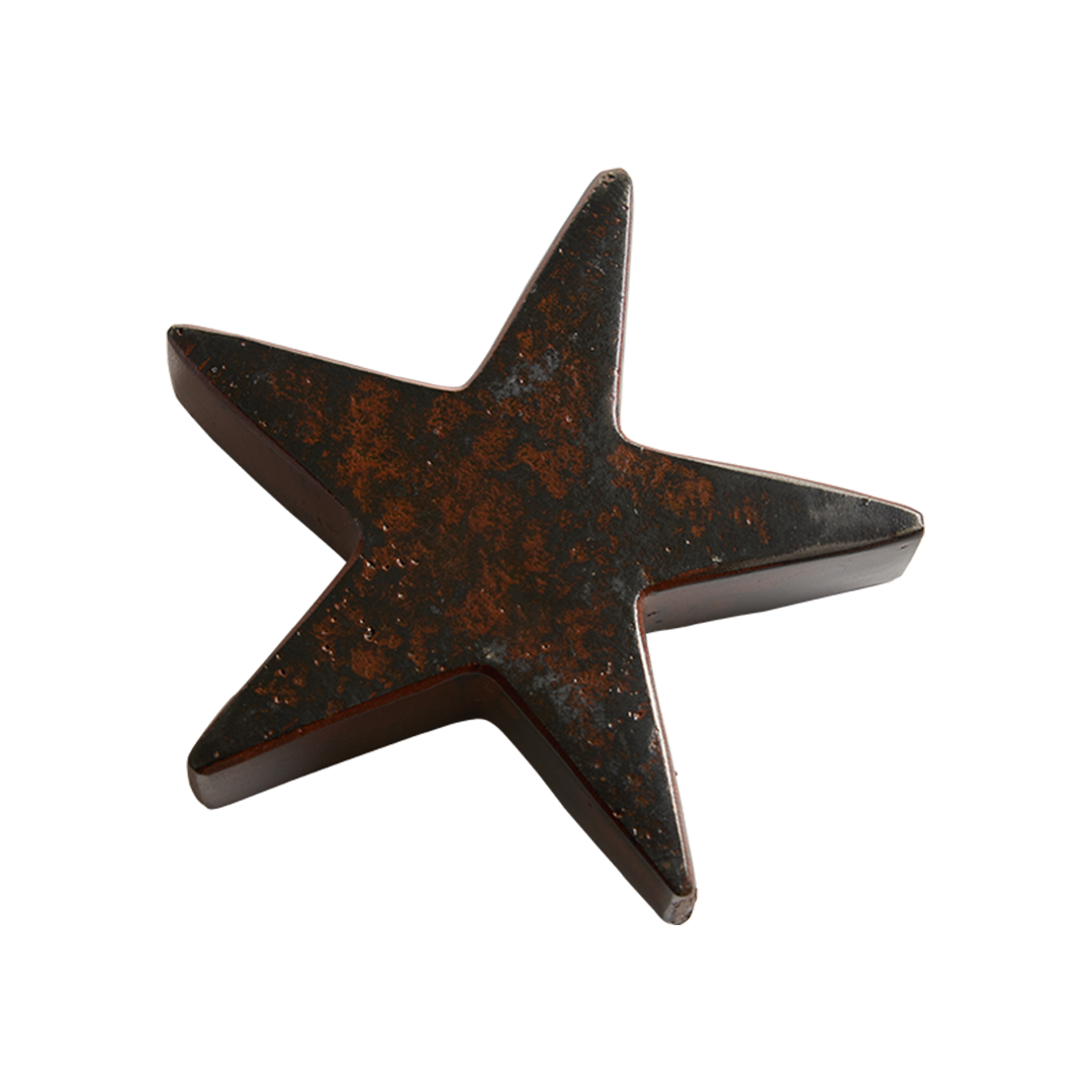 Estrella Jan Barboglio
