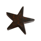 Estrella Jan Barboglio