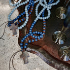 Cruzando Mares Jan Barboglio