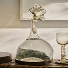 A clear mouth blown glass carafe on iron stand with glass flower cork.  Next to it id a clear glass cup. White wall as a background.