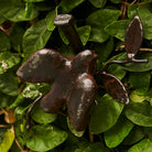 Paloma Jan Barboglio