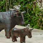 Torito con Paloma Jan Barboglio